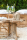 Beistelltisch Baum Teak Naturell