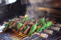 Schaschlik-Set Edelstahl 6 Grillspieße mit Halterung