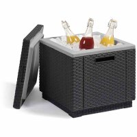 ICE-Cube Kühlbox graphit