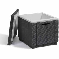 ICE-Cube Kühlbox graphit