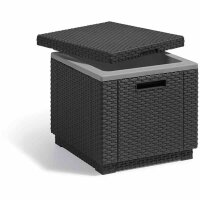 ICE-Cube Kühlbox graphit