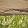 Starter Pavillon 300cm x 300cm, taupe Gestell aus Stahl, grau, Bezug aus Polyester, 160g/m² in taupe