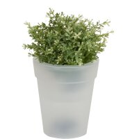 Solar-Blumentopf, 4 weiße LEDs mit Ein- /...